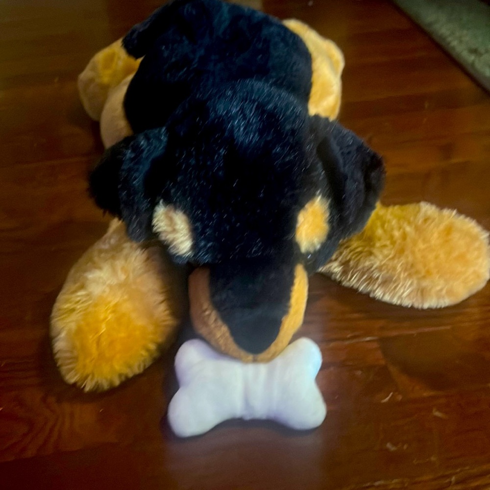 Hug Me Walgreens Rottweiler